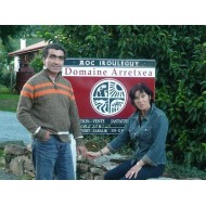 Domaine Arretxea Hegoxuri 2012 