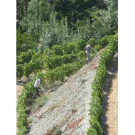 Domaine Casal dos Jordoes  Porto Fine Tawny 