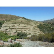 Domaine Casal dos Jordoes  Porto Fine Tawny 