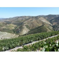 Domaine Casal dos Jordoes  Porto Fine Tawny 